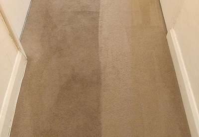 Carpet-Cleaner-Selsey.jpg