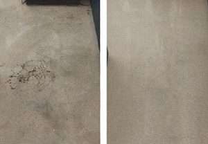 Carpet-Cleaning-expert-Portsmouth