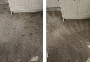 Professional-Carpet-Cleaners-Lancing