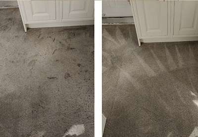Professional-Carpet-Cleaners-Gosport Horsham Lancing.jpg