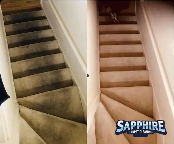 Professionally cleaned stair carpet in Chichester