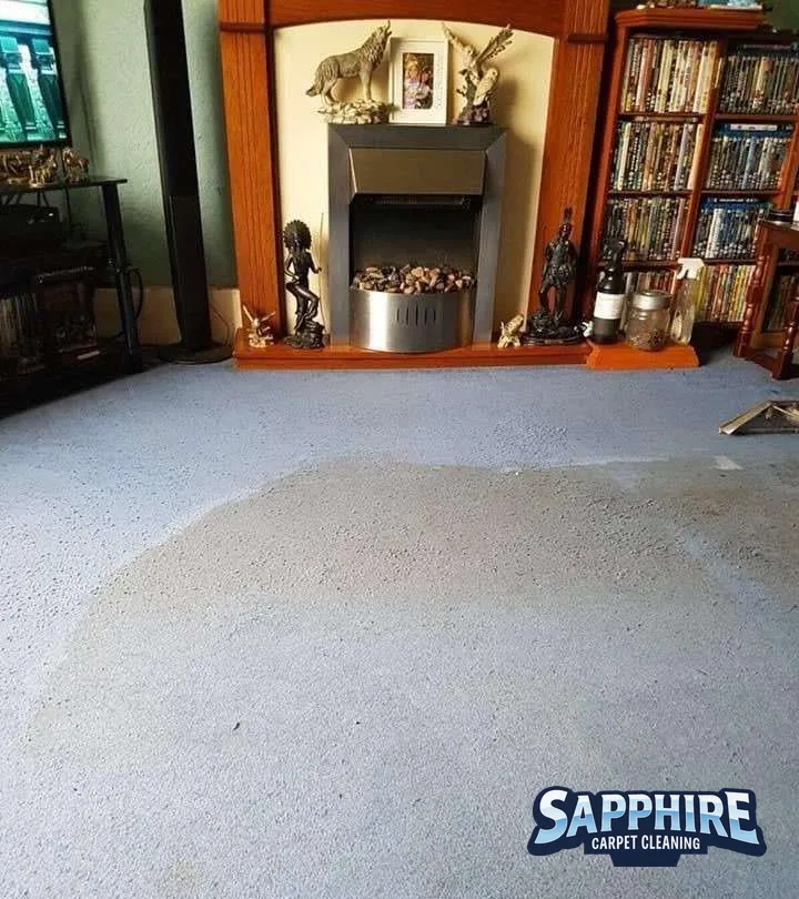Sapphire carpet cleaning specialist at work in a Chichester living room