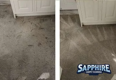 Professional carpet cleaners treating a carpet in a Sussex home