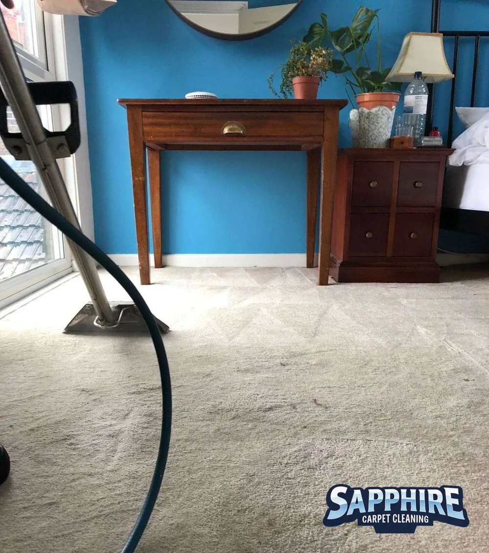 Carpet deep clean in progress, showing the dirty-to-clean contrast, in a Chichester home