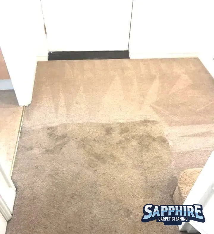 Hot-water extraction lifting grime from a lounge carpet