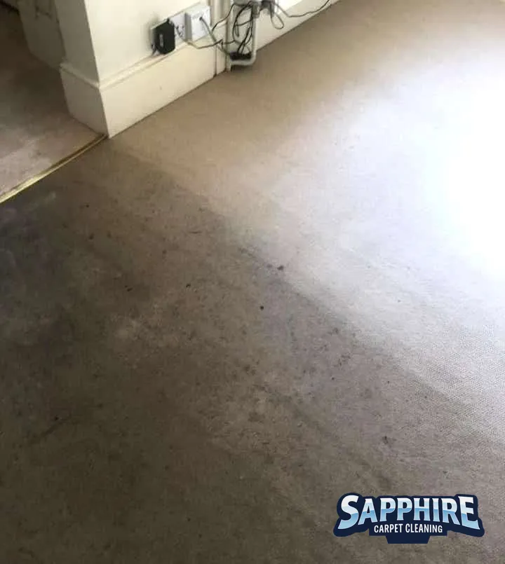 Freshly cleaned fitted carpet after a professional deep clean